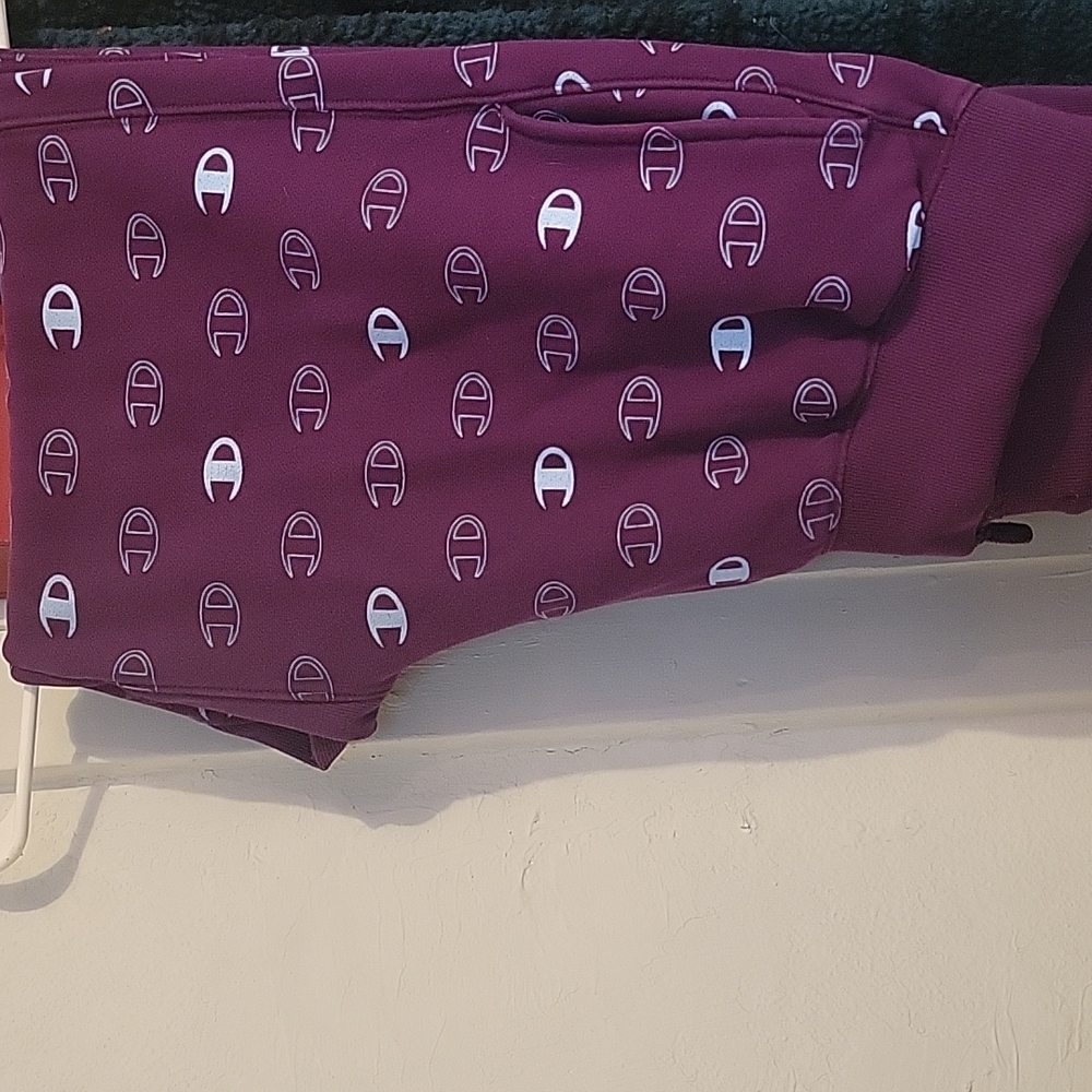 Champion sweat pants size Large